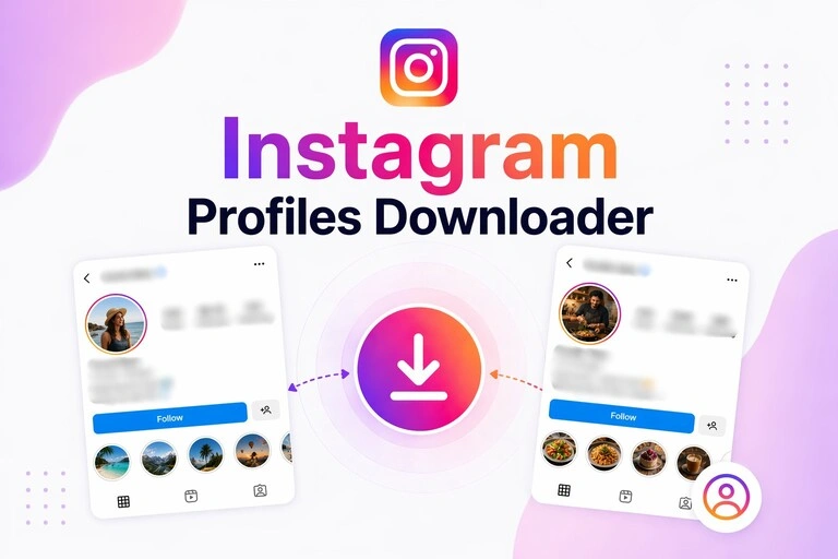 Instagram profile downloader preview